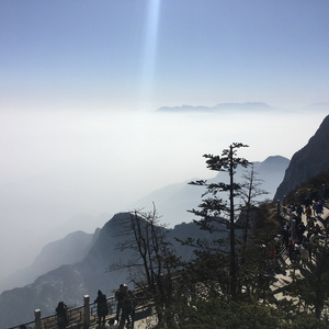 日本我与子乱视频无删减版
