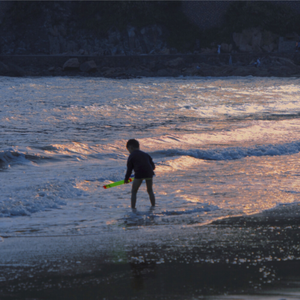日本我与子乱视频无删减版
